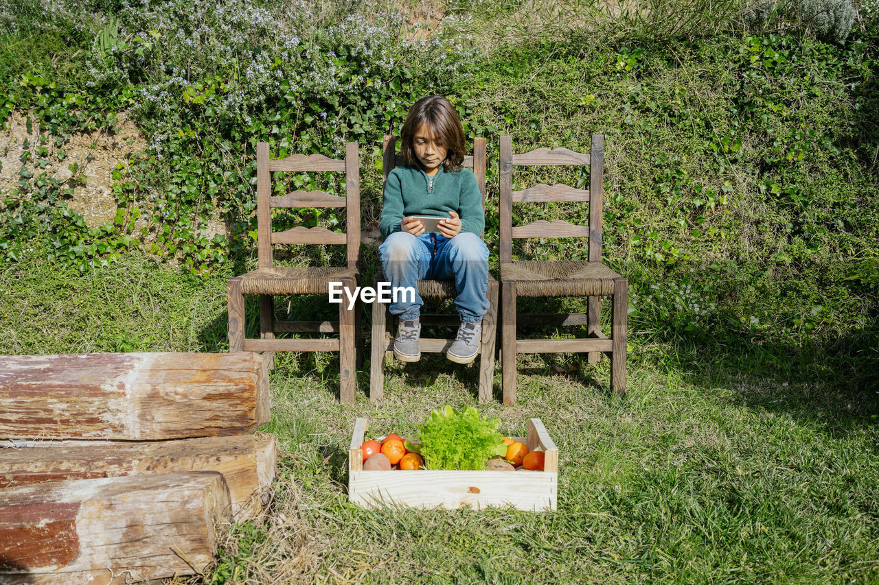 Boy sitting in garden with vegetable box, playing games on his smartphone