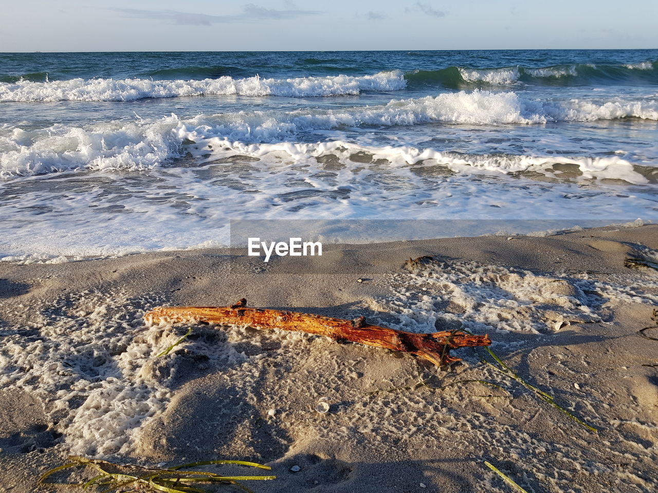 SCENIC VIEW OF SEA SHORE