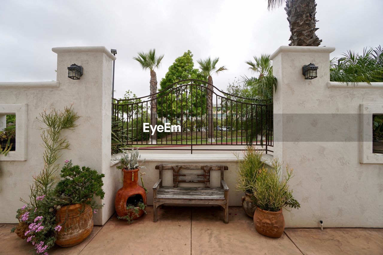 POTTED PLANTS ON BUILDING