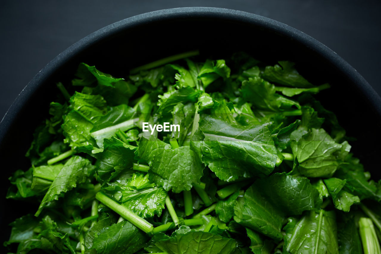 Close-up of chopped turnip leaves in bowl