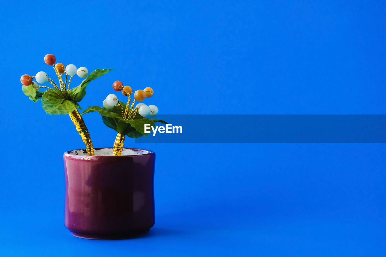 blue, plant, flower, flowering plant, nature, blue background, colored background, studio shot, copy space, vase, no people, indoors, beauty in nature, growth, yellow, ikebana, flowerpot, freshness, flower head, fragility, cobalt blue, still life, potted plant, inflorescence, plant part, houseplant, decoration, leaf, plant stem