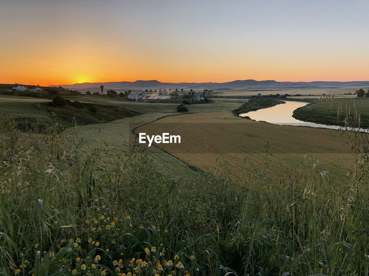 Scenic view of field against sky during sunset