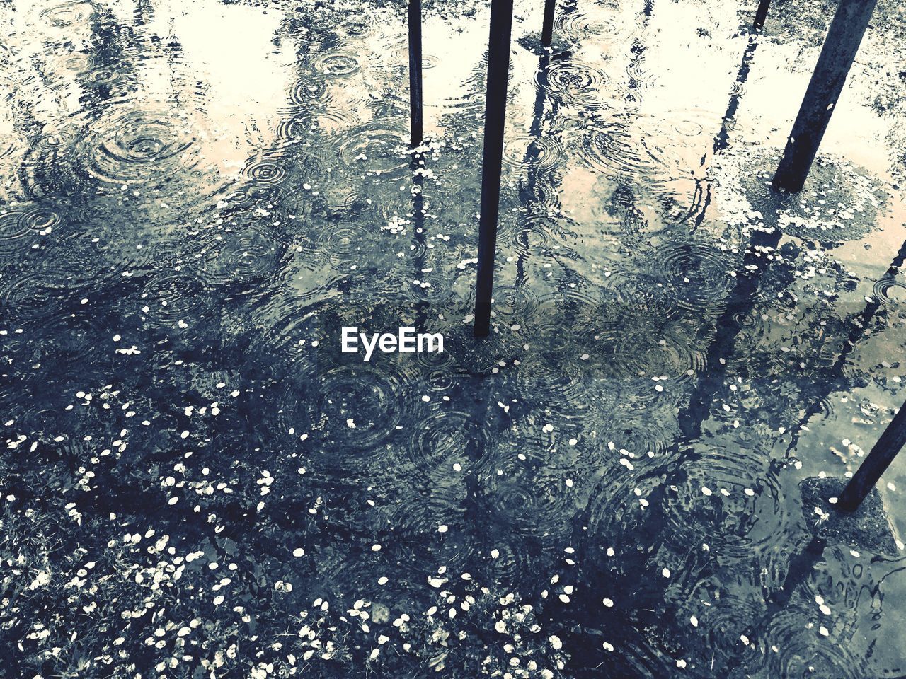 High angle view of puddle on rainy day