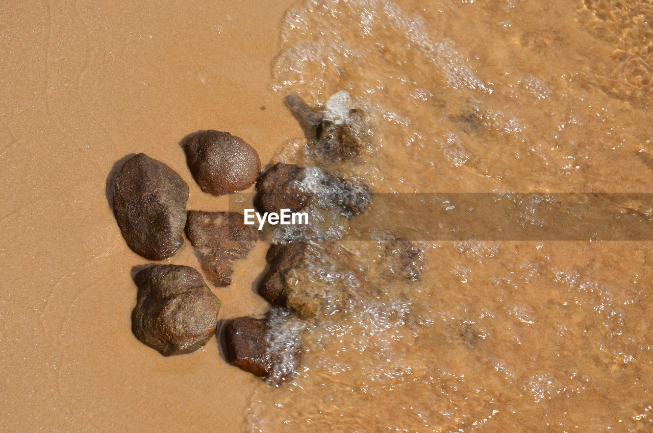 sand, land, nature, high angle view, no people, beach, brown, soil, water, rock, outdoors, day, wood, food