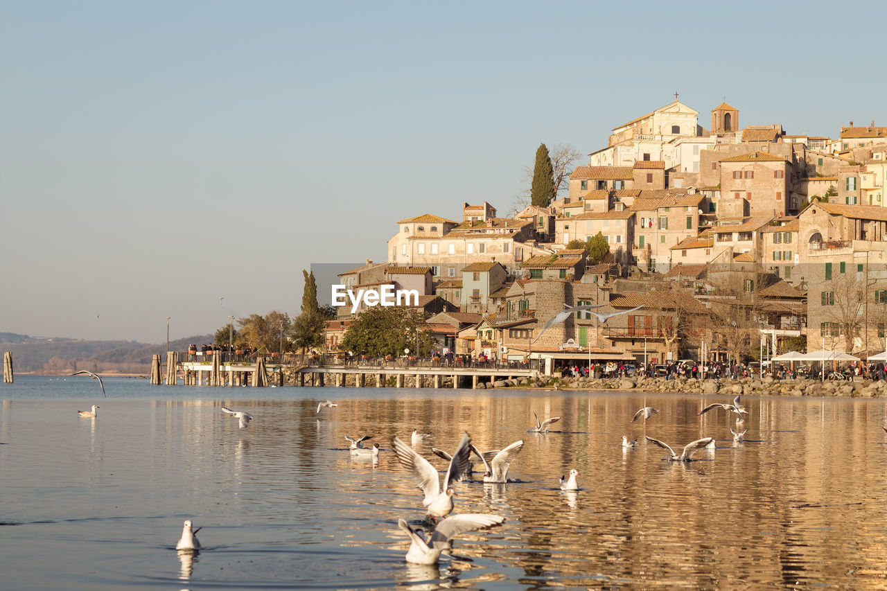 Birds flying over lake against clear sky