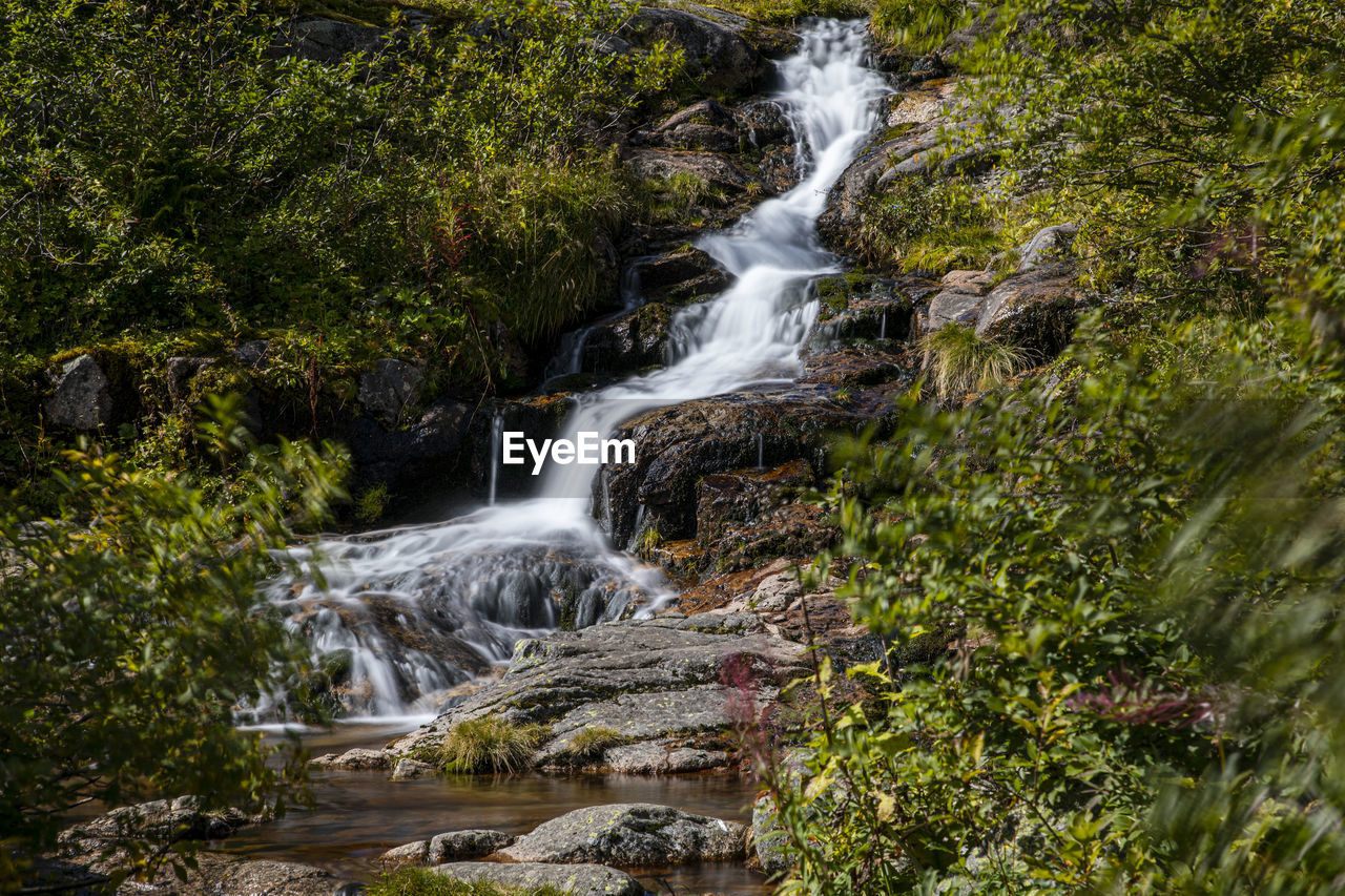 WATERFALL IN FOREST