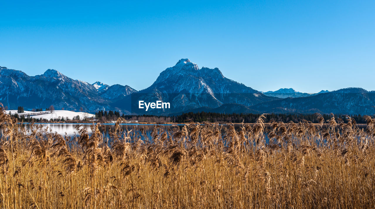 Scenic view of lake and mountains against clear blue sky