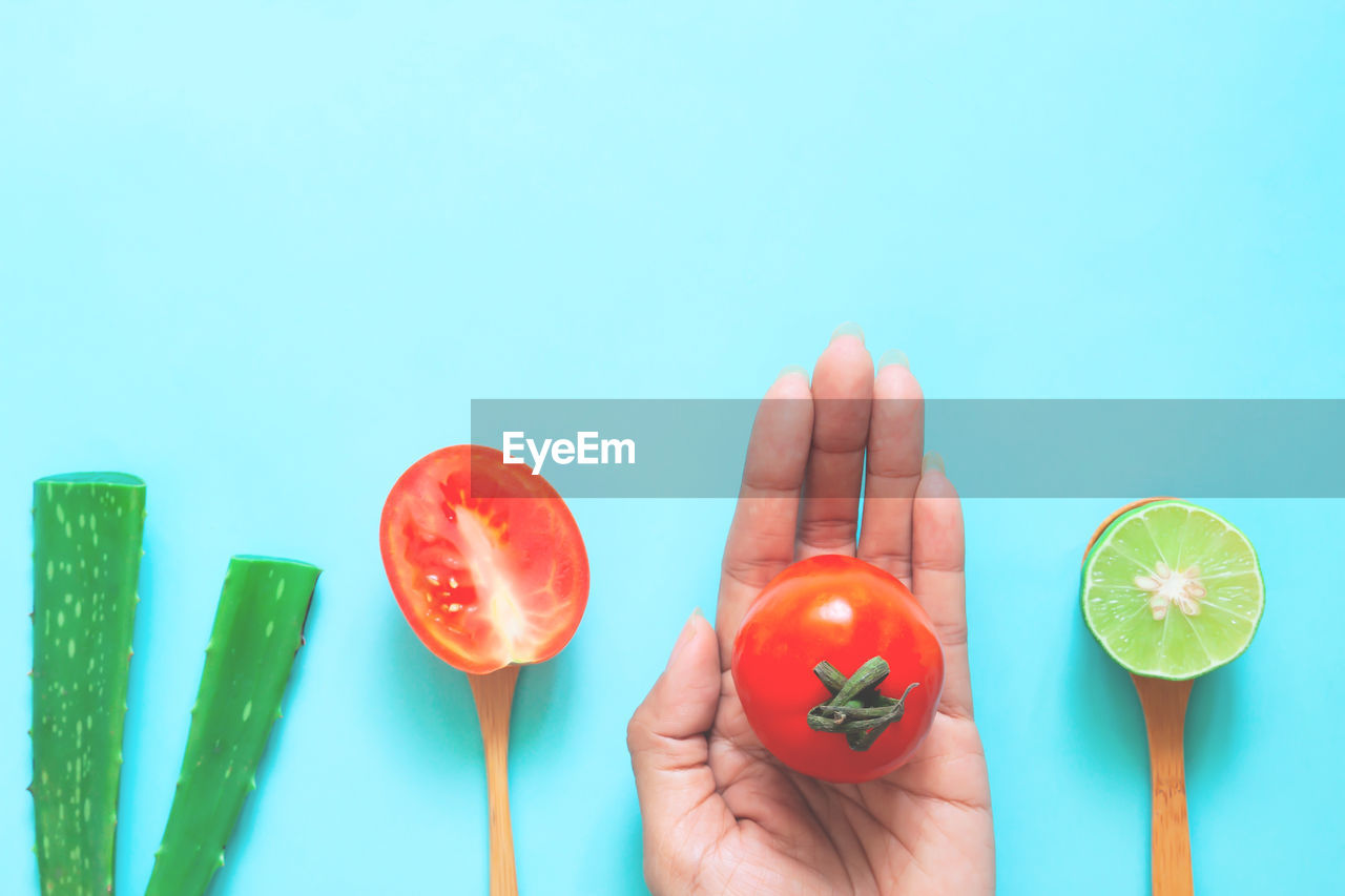 Cropped hand of woman holding tomato by aloe vera and lemon on blue background