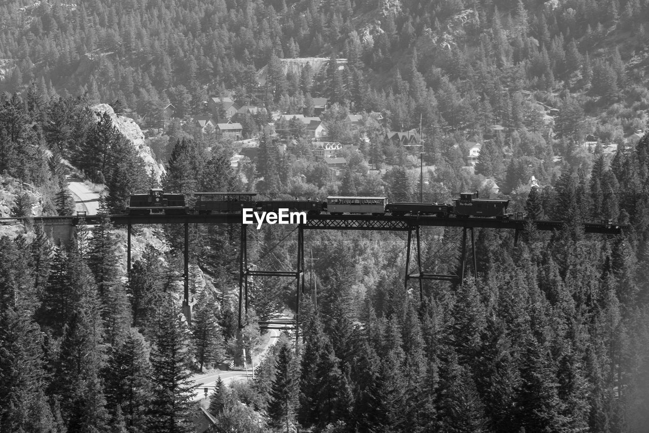 Scenic view of train on bridge in forest