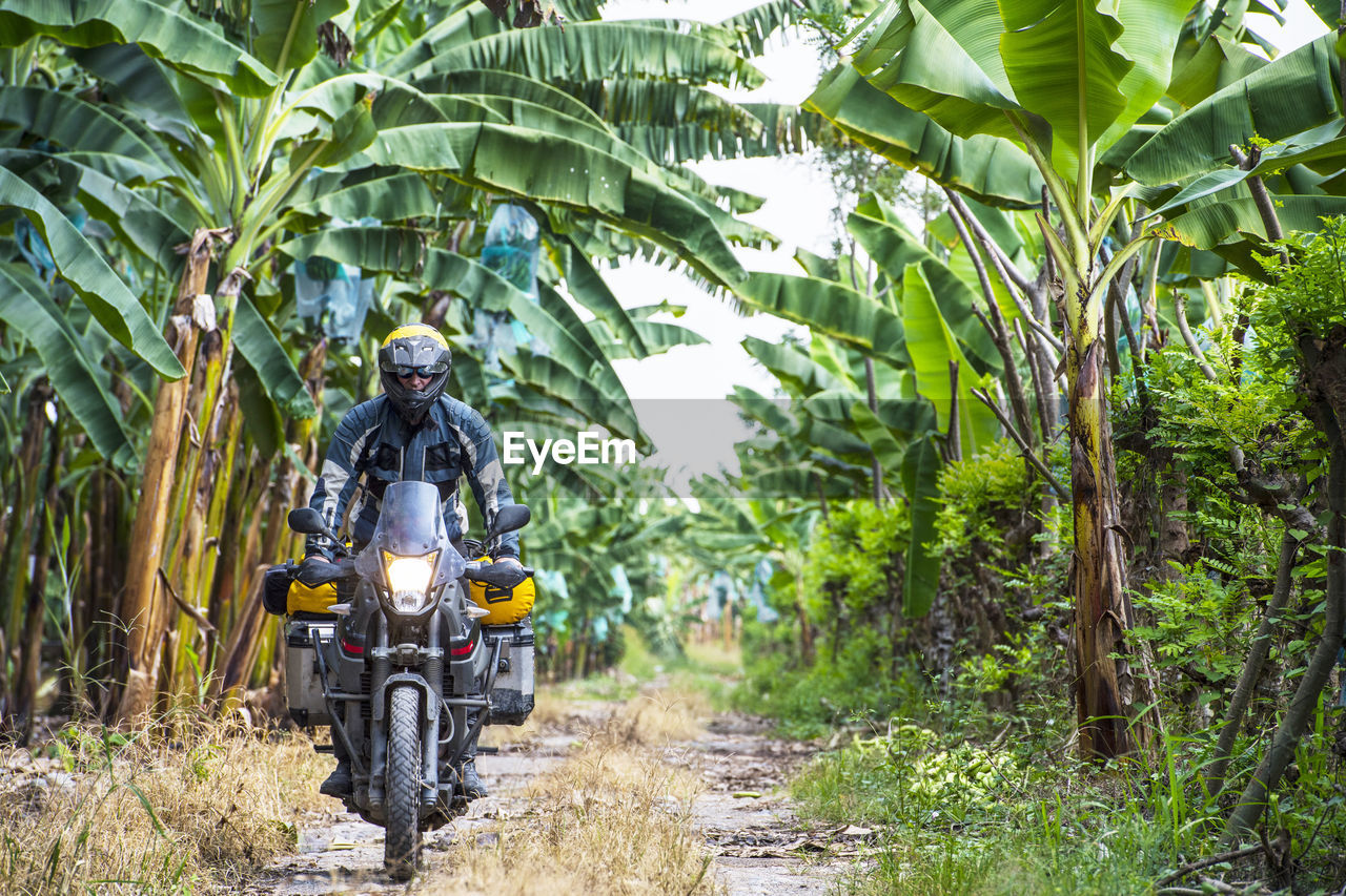 Man riding touring motorbike through banana plantation, ecuador