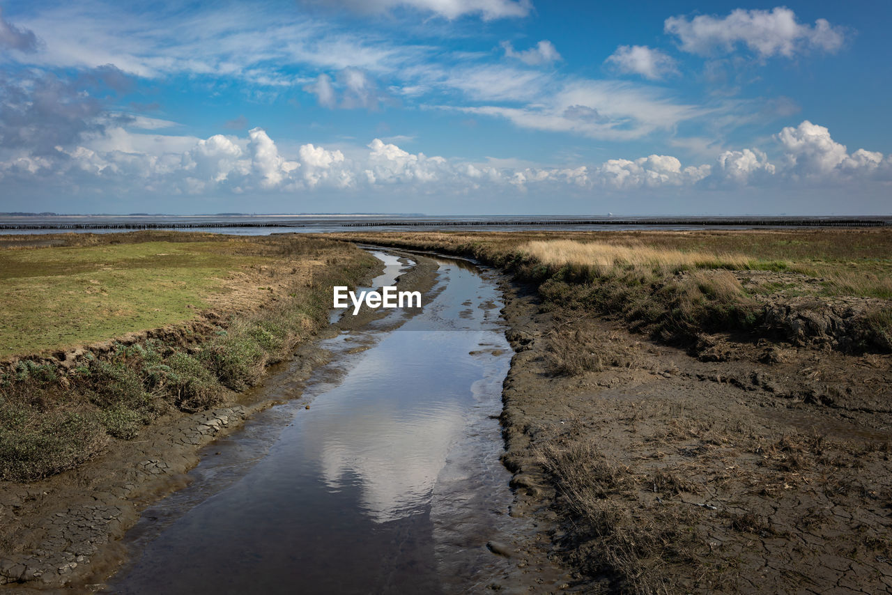 North frisian island amrum