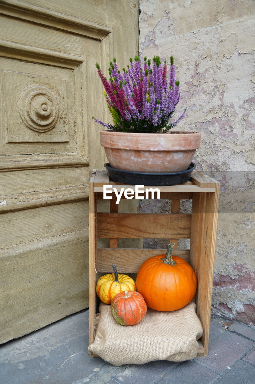 Autumn decoration with pumpkins in front of wooden door