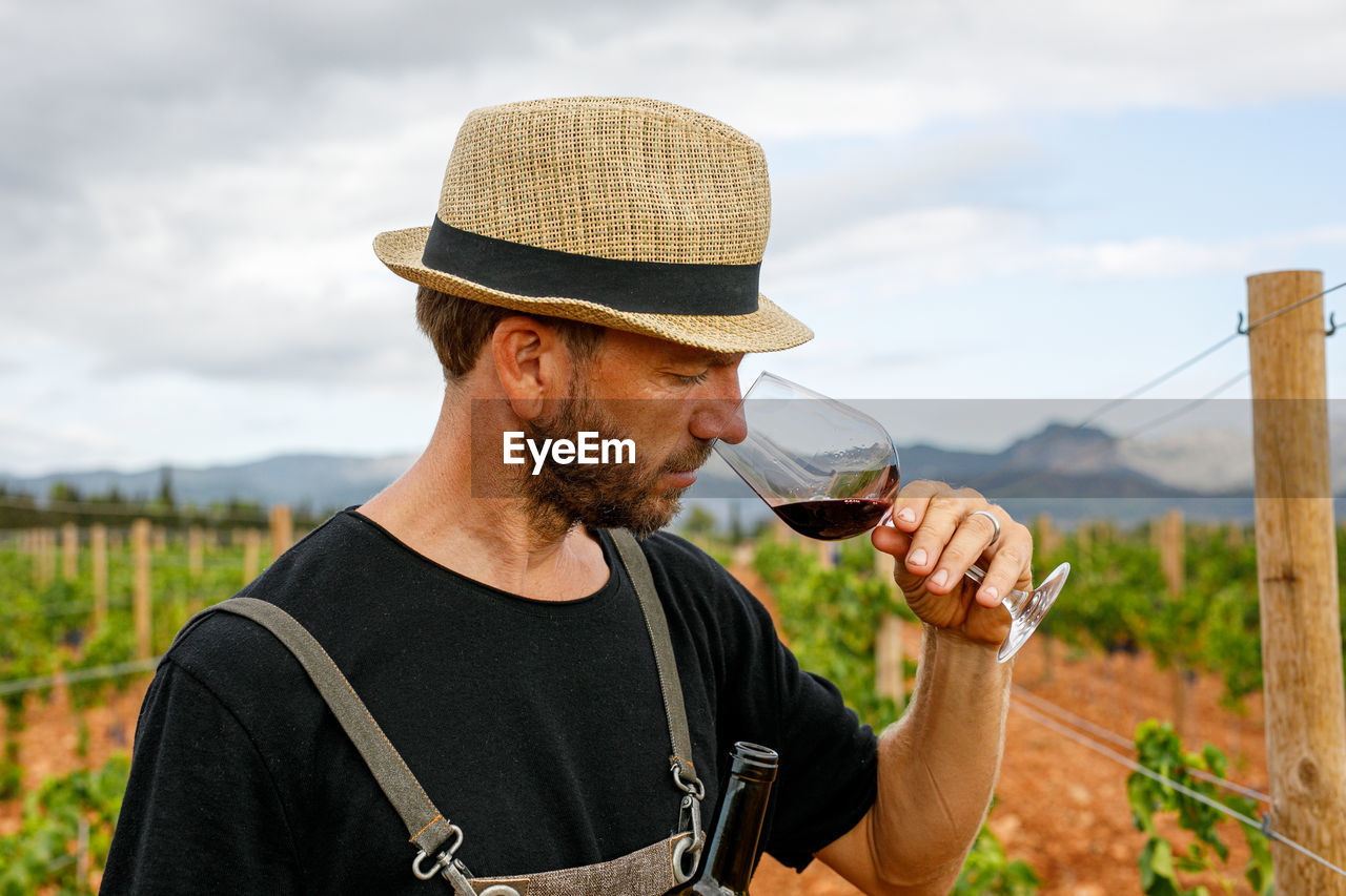 Adult man harvesting ripe grapes from vine on cloudy day on farm serving red wine with bottle in glass and smelling it