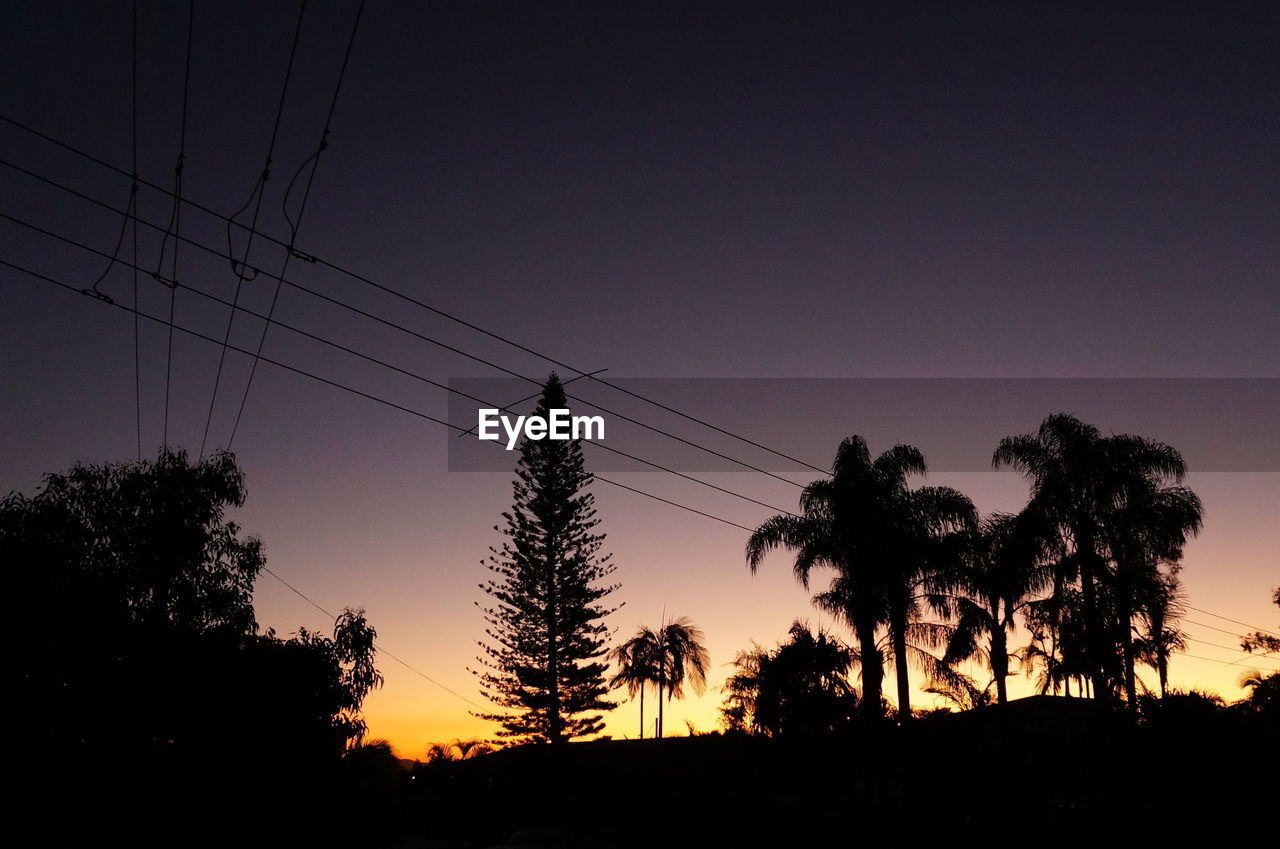 LOW ANGLE VIEW OF SILHOUETTE TREES AGAINST SUNSET SKY