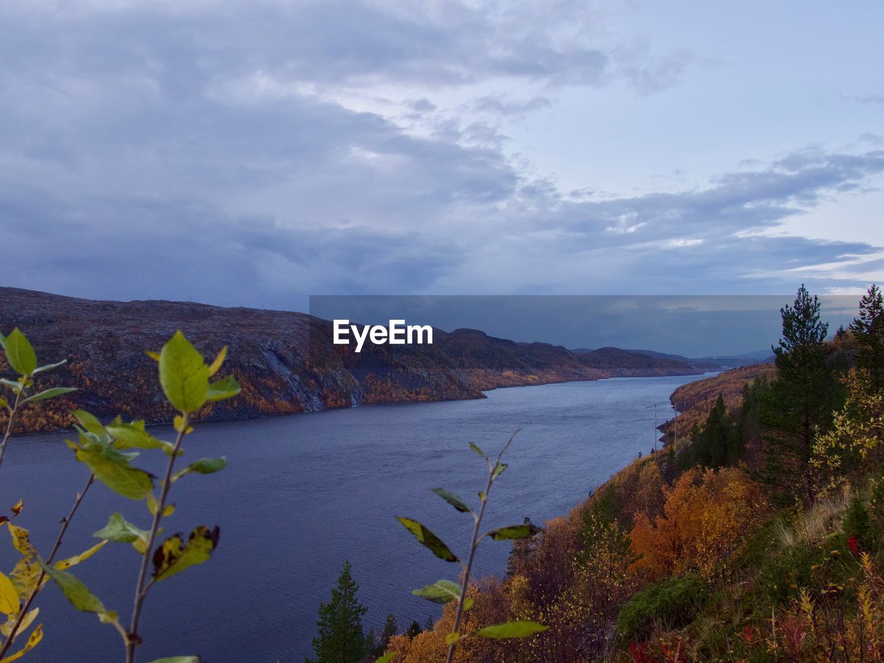 SCENIC VIEW OF LAKE BY TREES AGAINST SKY