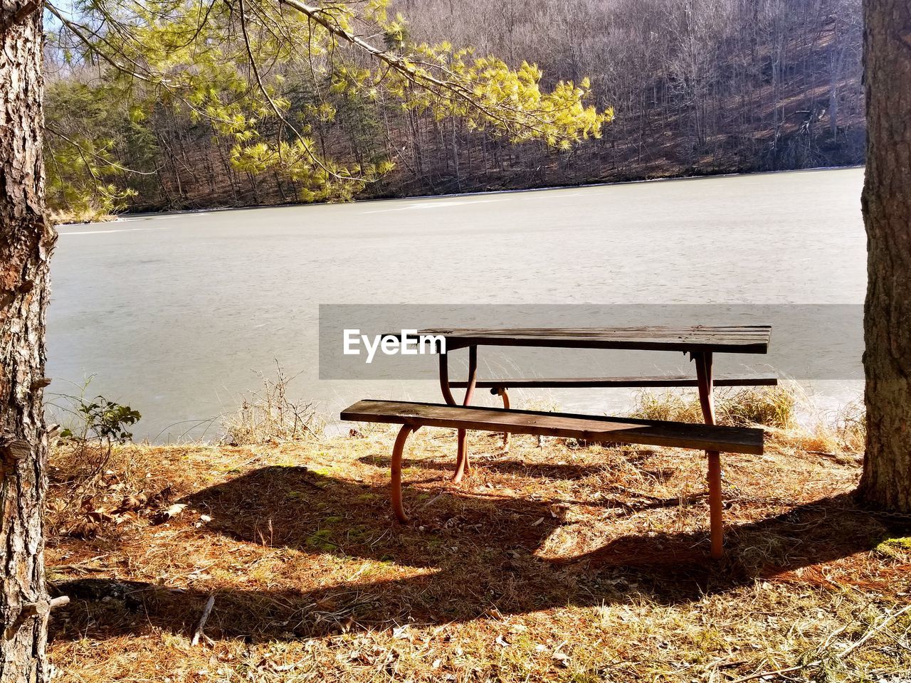 Empty bench by lake against trees