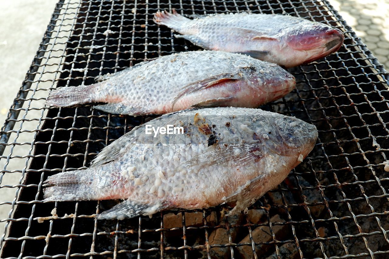 HIGH ANGLE VIEW OF FISH FOR SALE