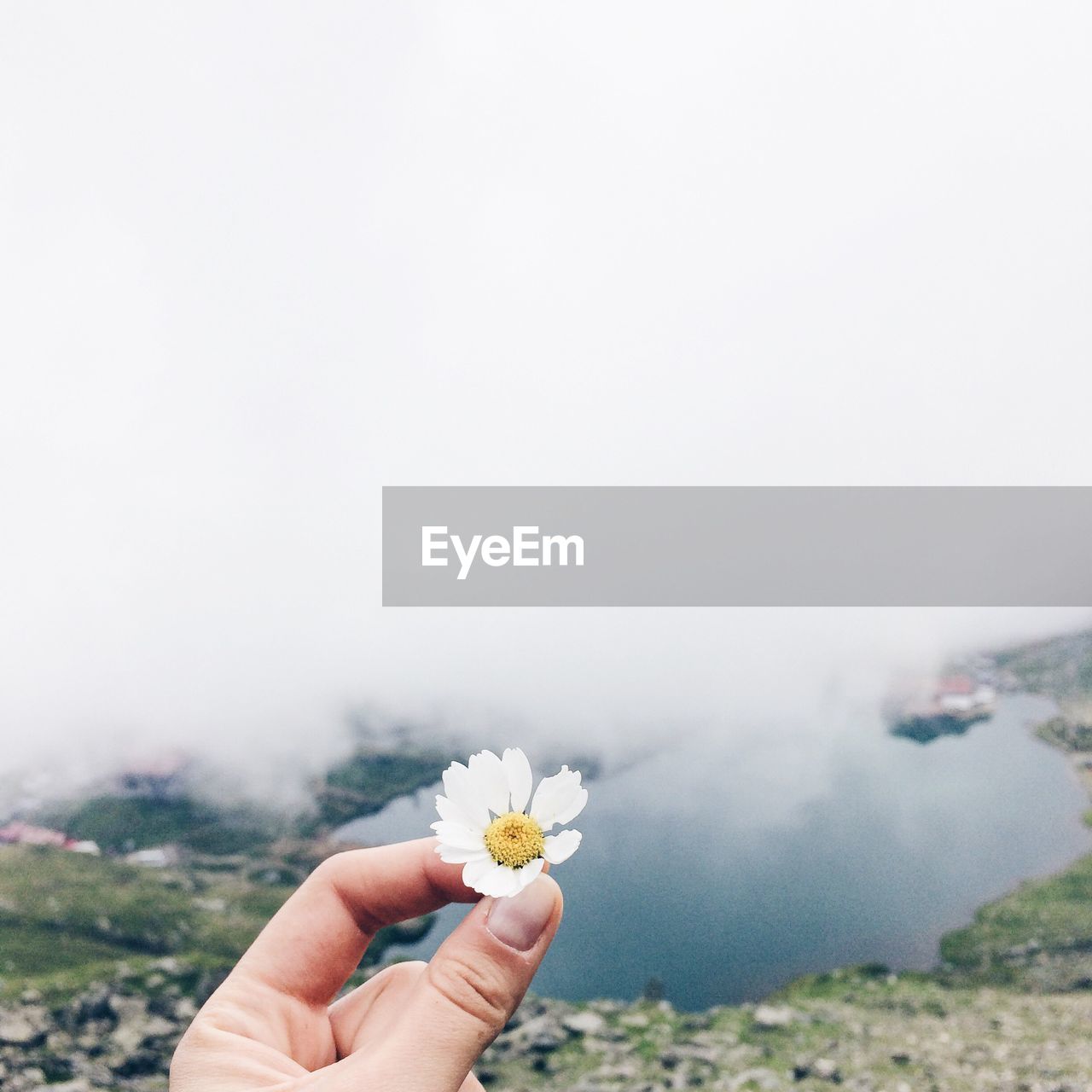 Close-up of hand holding flower against the sky