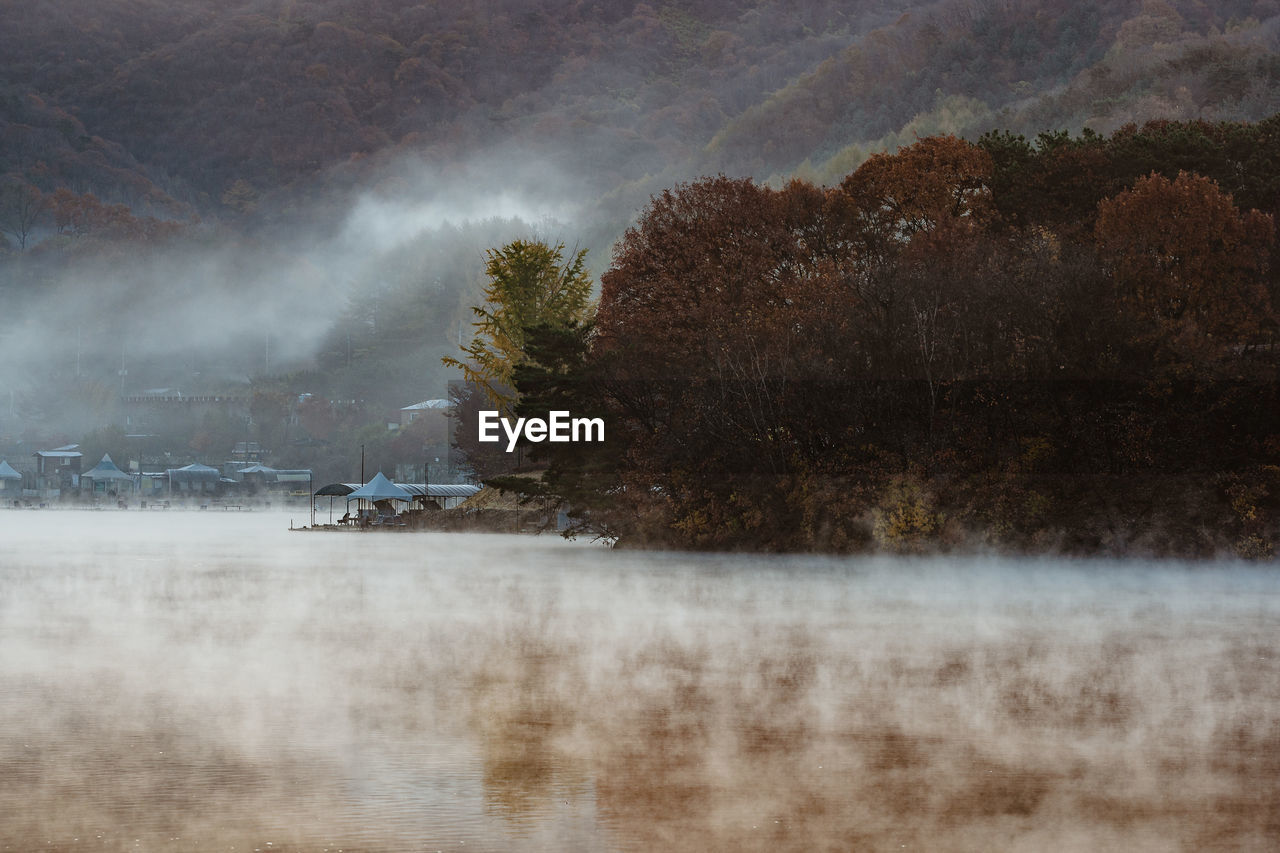 Scenic view of lake by trees on mountain