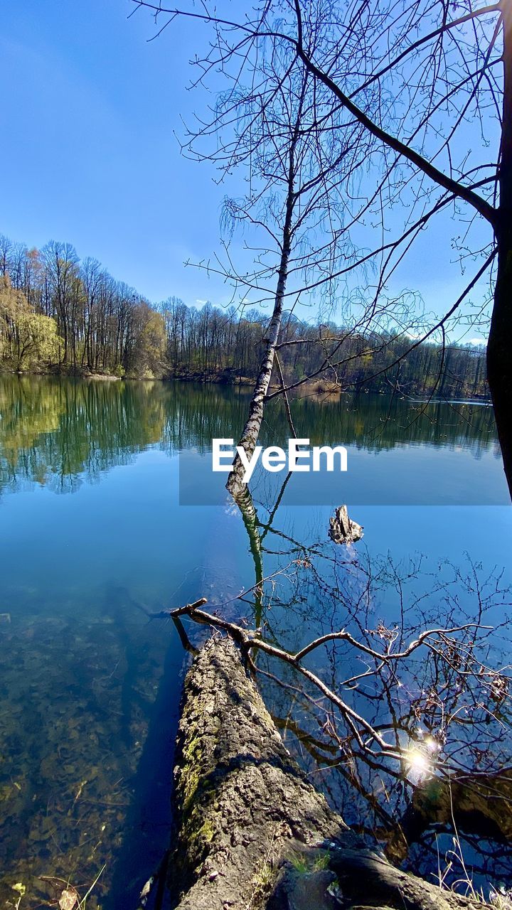 SCENIC VIEW OF LAKE AGAINST BARE TREES