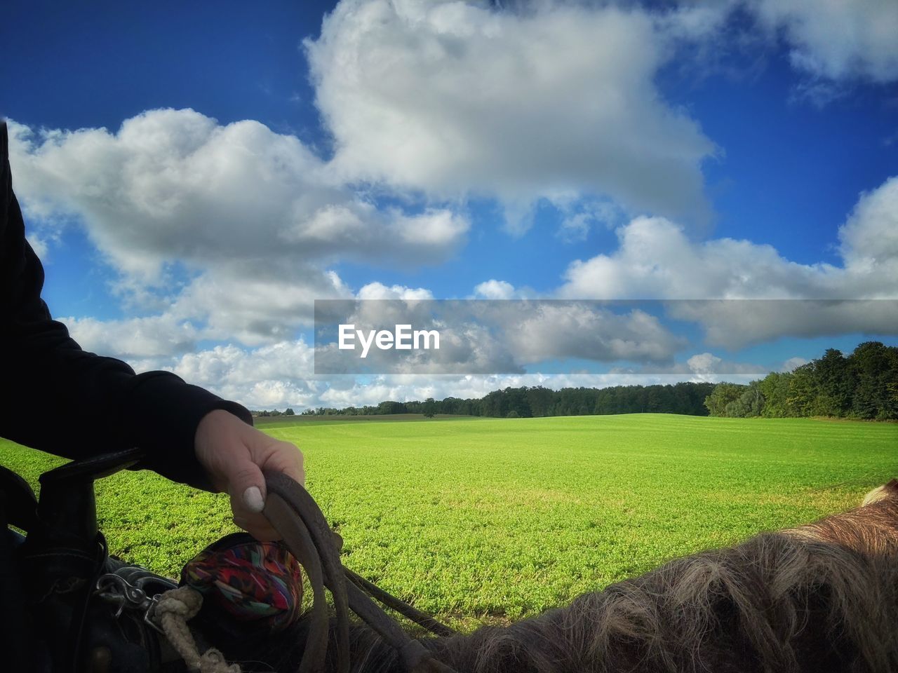 sky, cloud, landscape, land, field, plant, environment, nature, rural scene, grass, one person, agriculture, adult, rural area, horizon, day, crop, beauty in nature, scenics - nature, outdoors, green, sunlight, tree, leisure activity, farm, meadow, blue, growth, tranquility, grassland