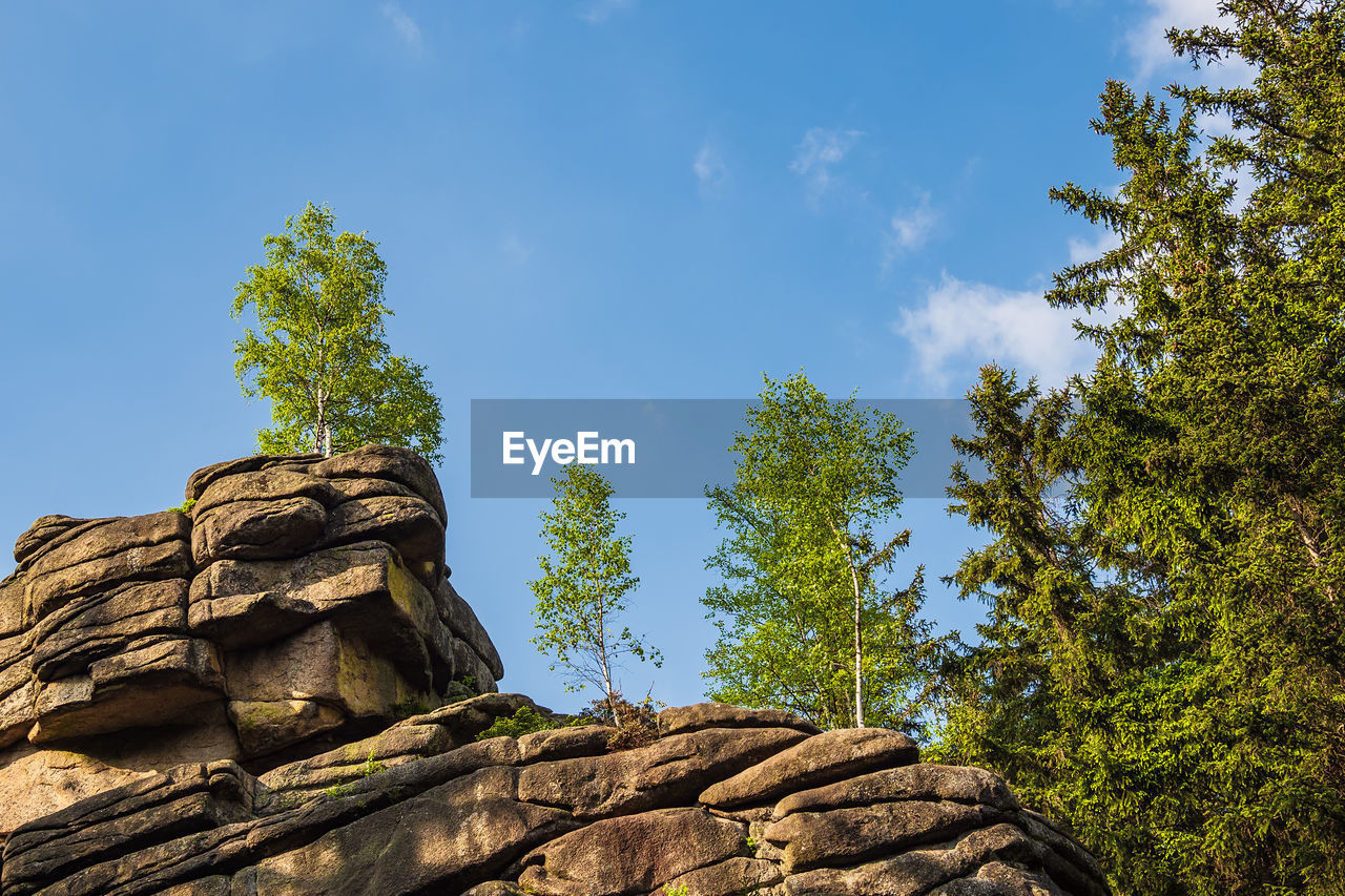 Low angle view of rock formation amidst trees against sky