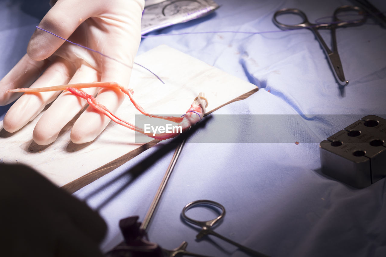 Cropped hand of doctor stitching human body part