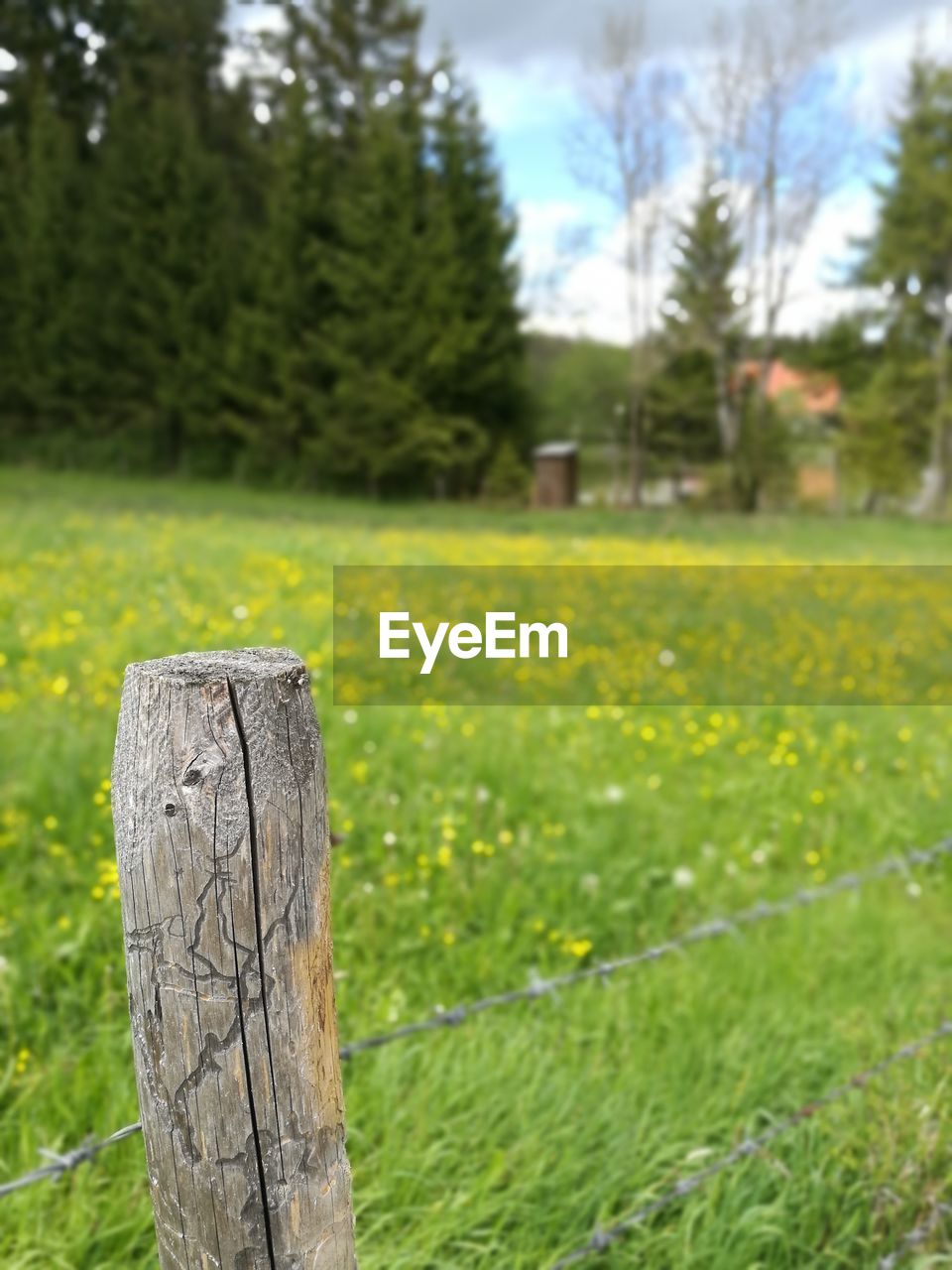 CLOSE-UP OF WOODEN POST IN FIELD