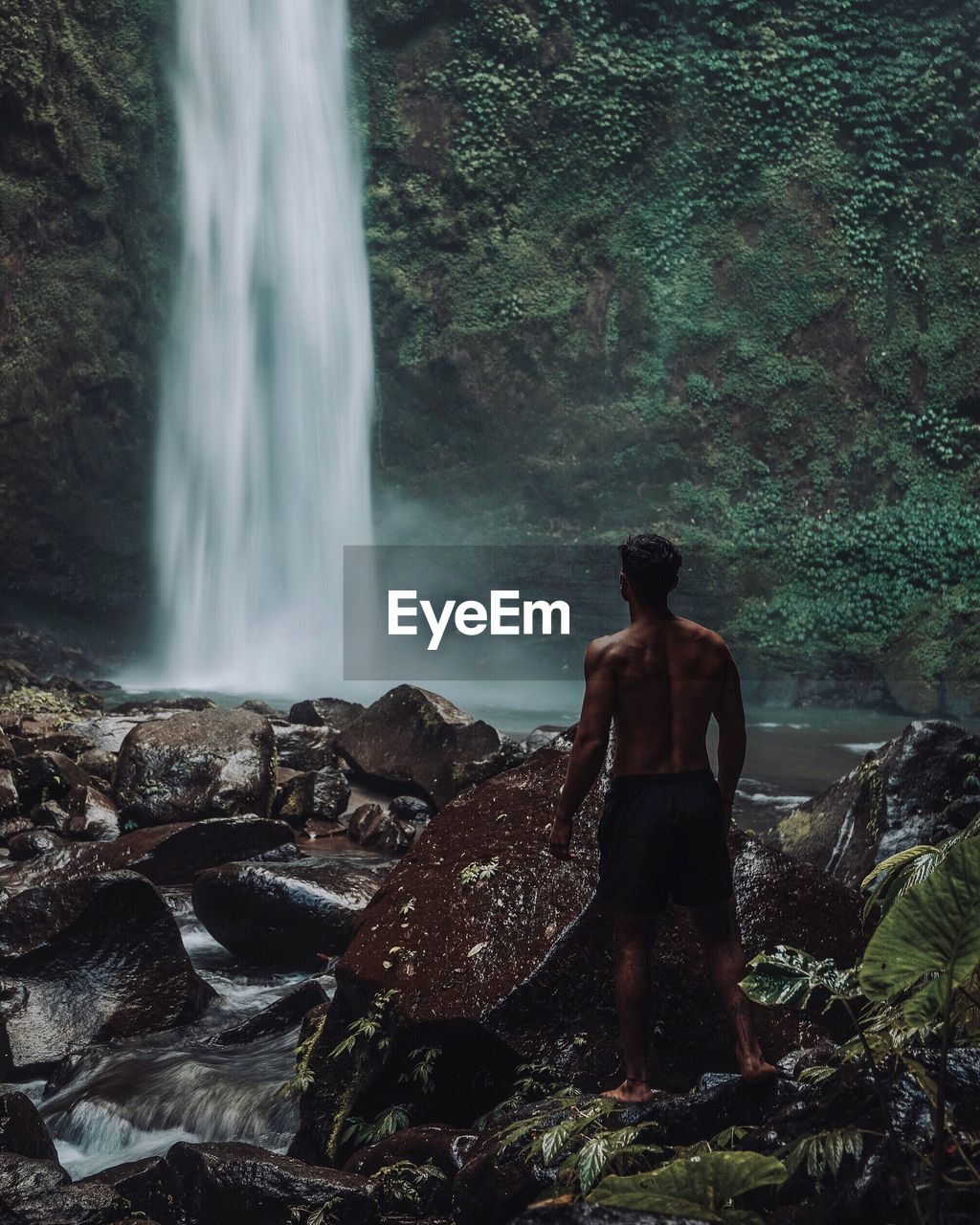 Rear view of shirtless man looking at waterfall in forest