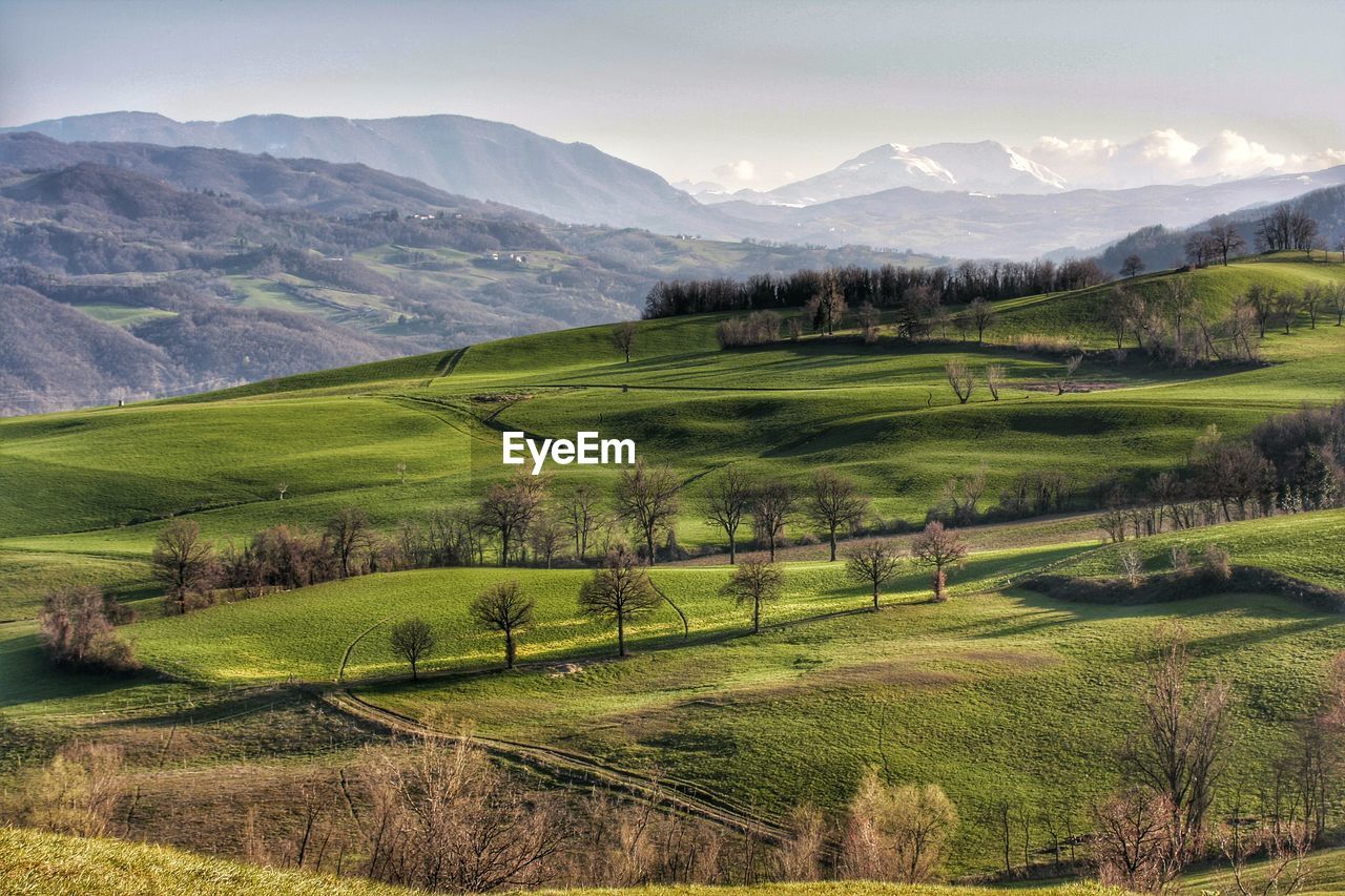 Scenic view of green landscape against sky