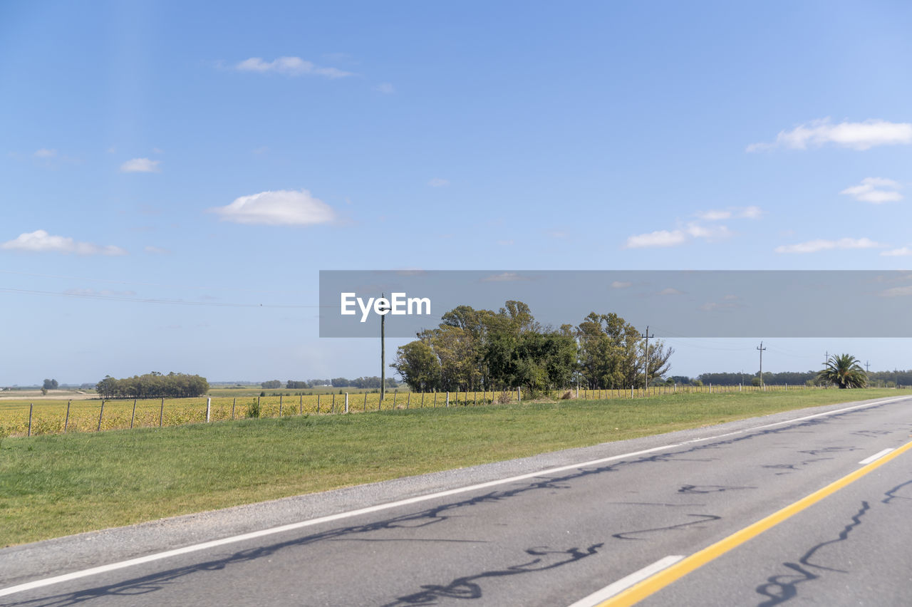 road, sky, transportation, highway, road marking, infrastructure, cloud, nature, marking, plant, no people, sign, symbol, day, the way forward, street, tree, freeway, asphalt, empty road, lane, landscape, environment, grass, outdoors, diminishing perspective, residential area, country road, road trip, city, horizon, rural area, dividing line, vanishing point, blue, land, field, tranquility, double yellow line, beauty in nature, travel, sunlight, rural scene, scenics - nature