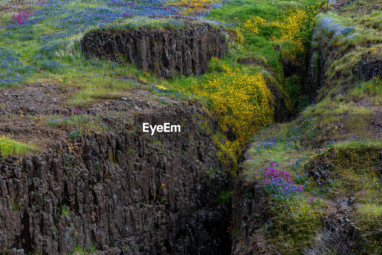 WATER FLOWING THROUGH ROCKS