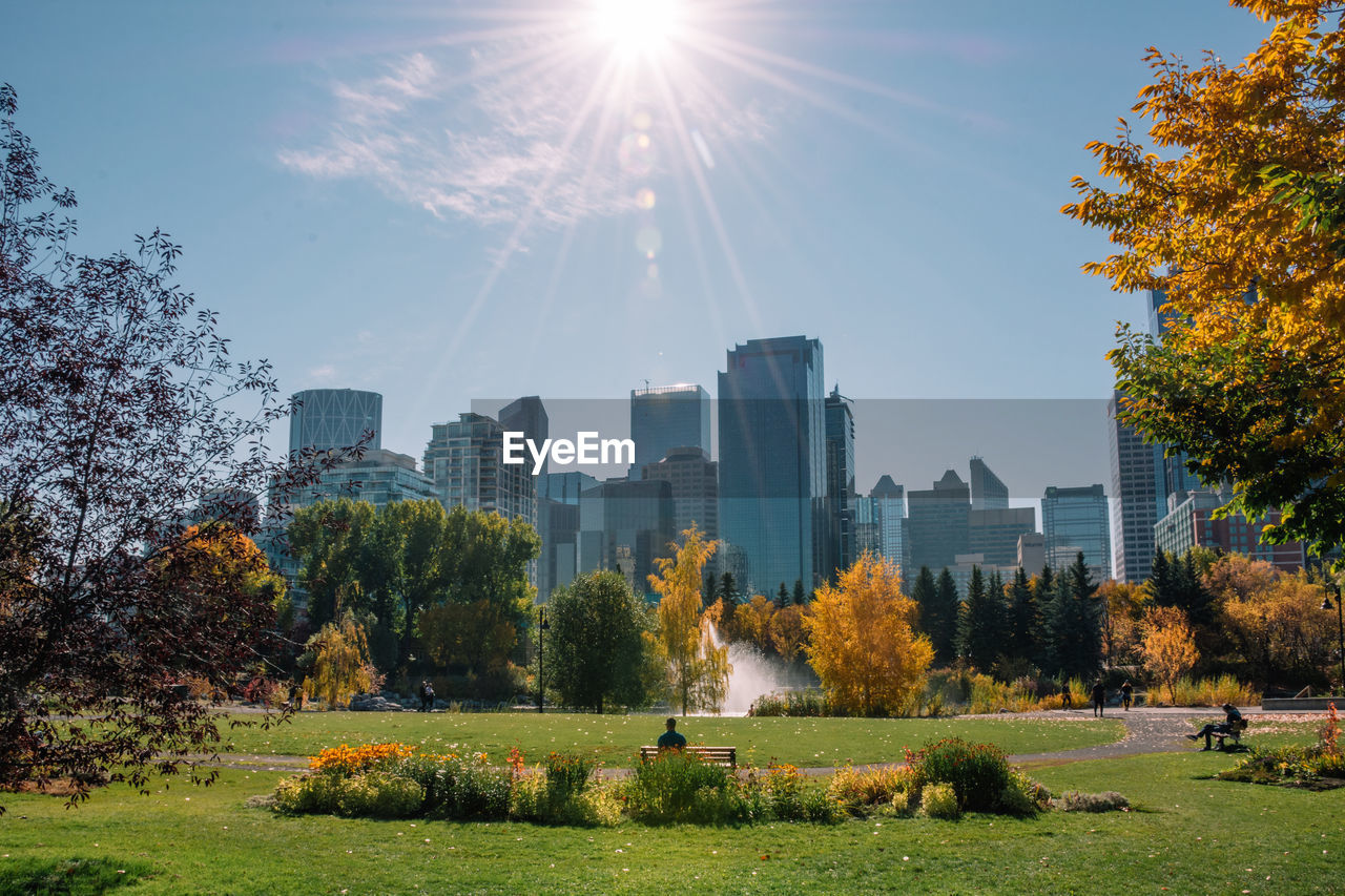 Sun shining over the city of calgary