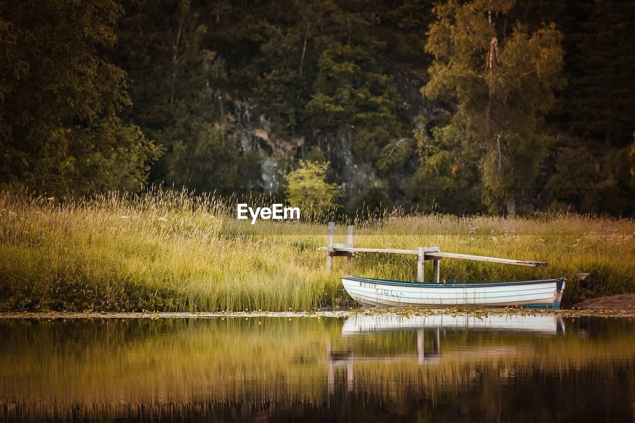 Scenic view of lake in forest