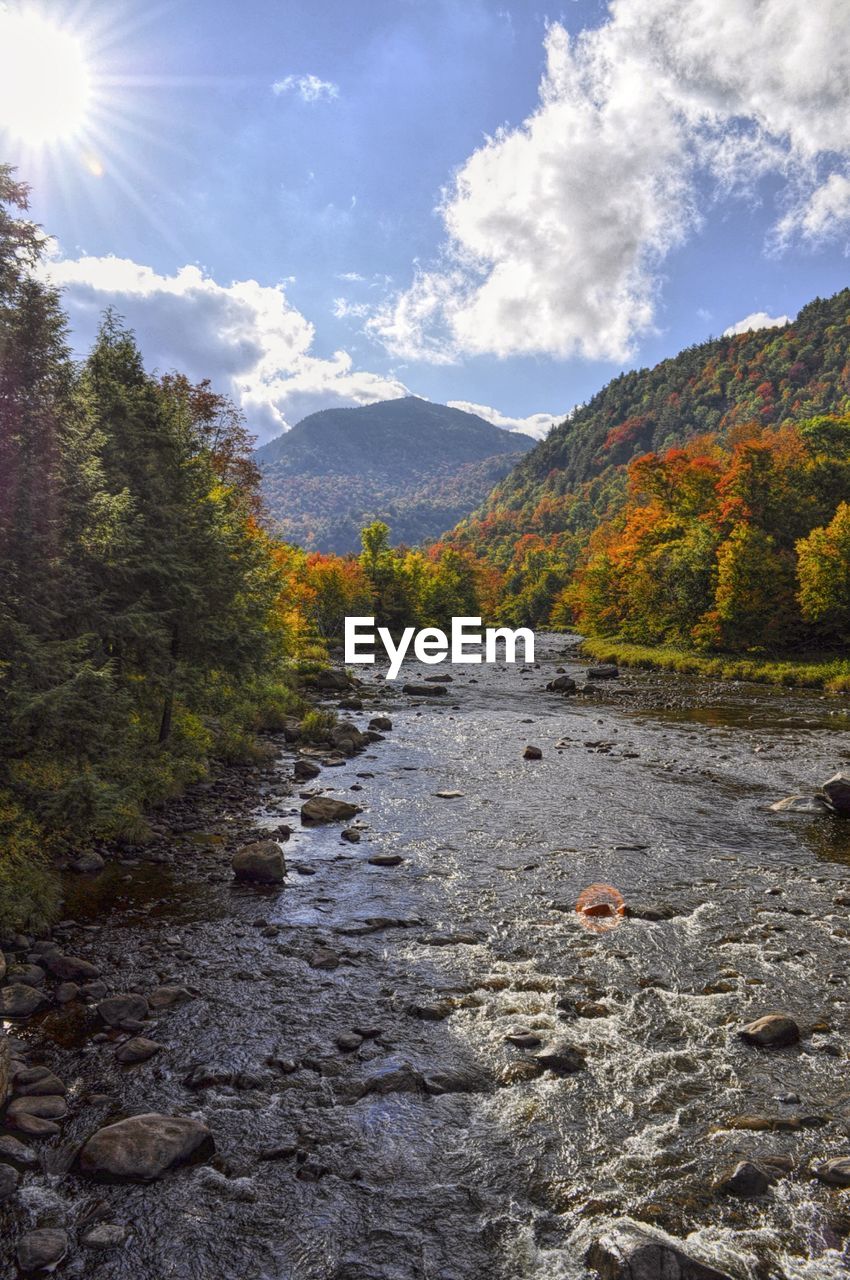 Scenic view of landscape and mountains against sky