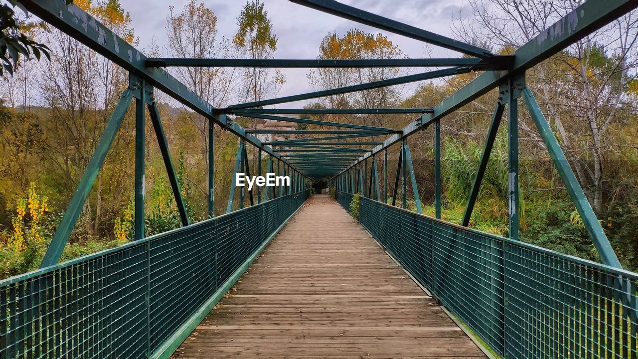 View of footbridge along trees