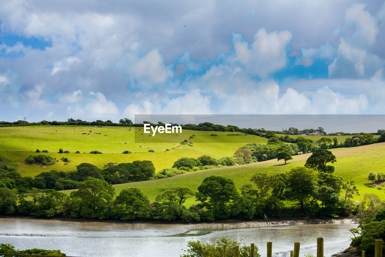 Scenic view of river by field against sky