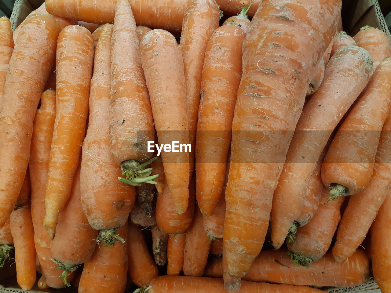 High angle view of carrots for sale at market stall
