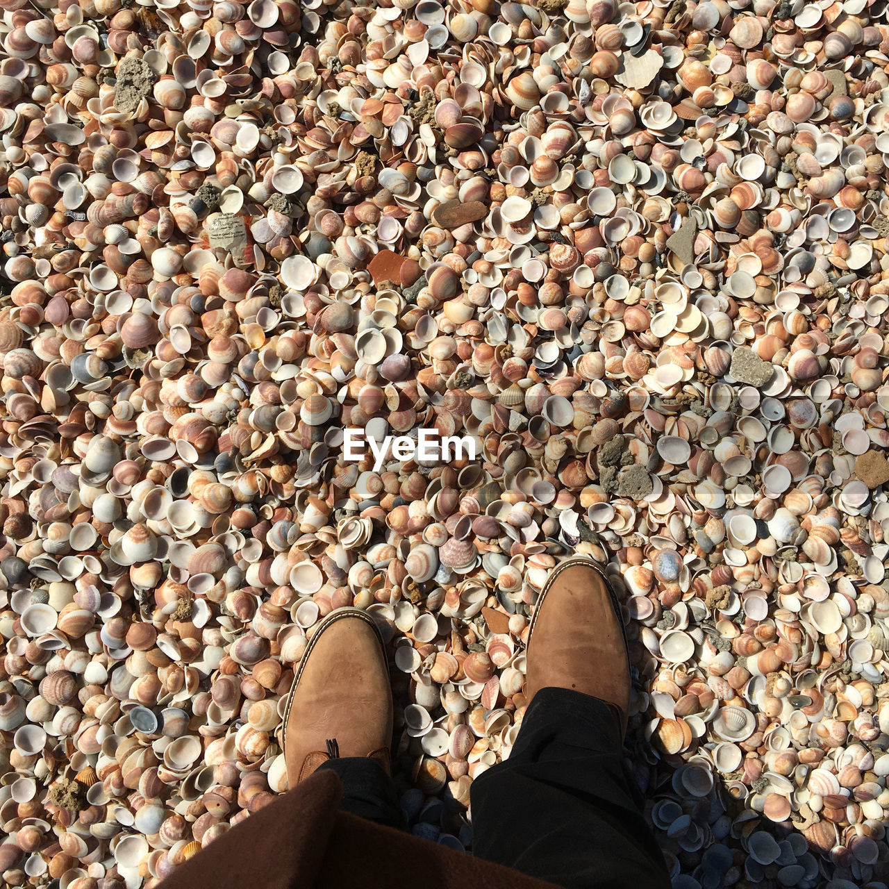 Low section of man standing on pebbles