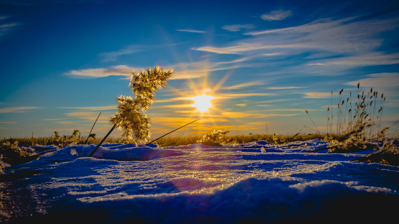 CLOSE-UP OF SNOW COVERED FIELD AGAINST SKY DURING SUNSET