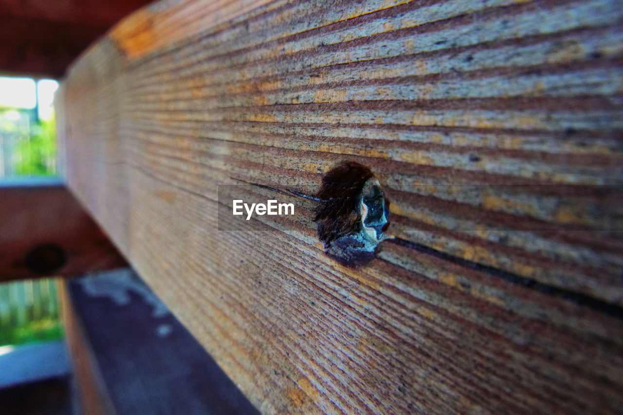 HIGH ANGLE VIEW OF AN INSECT ON WOODEN PLANK