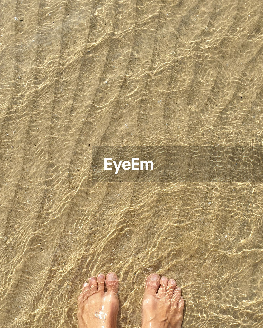 Low section of person standing at beach