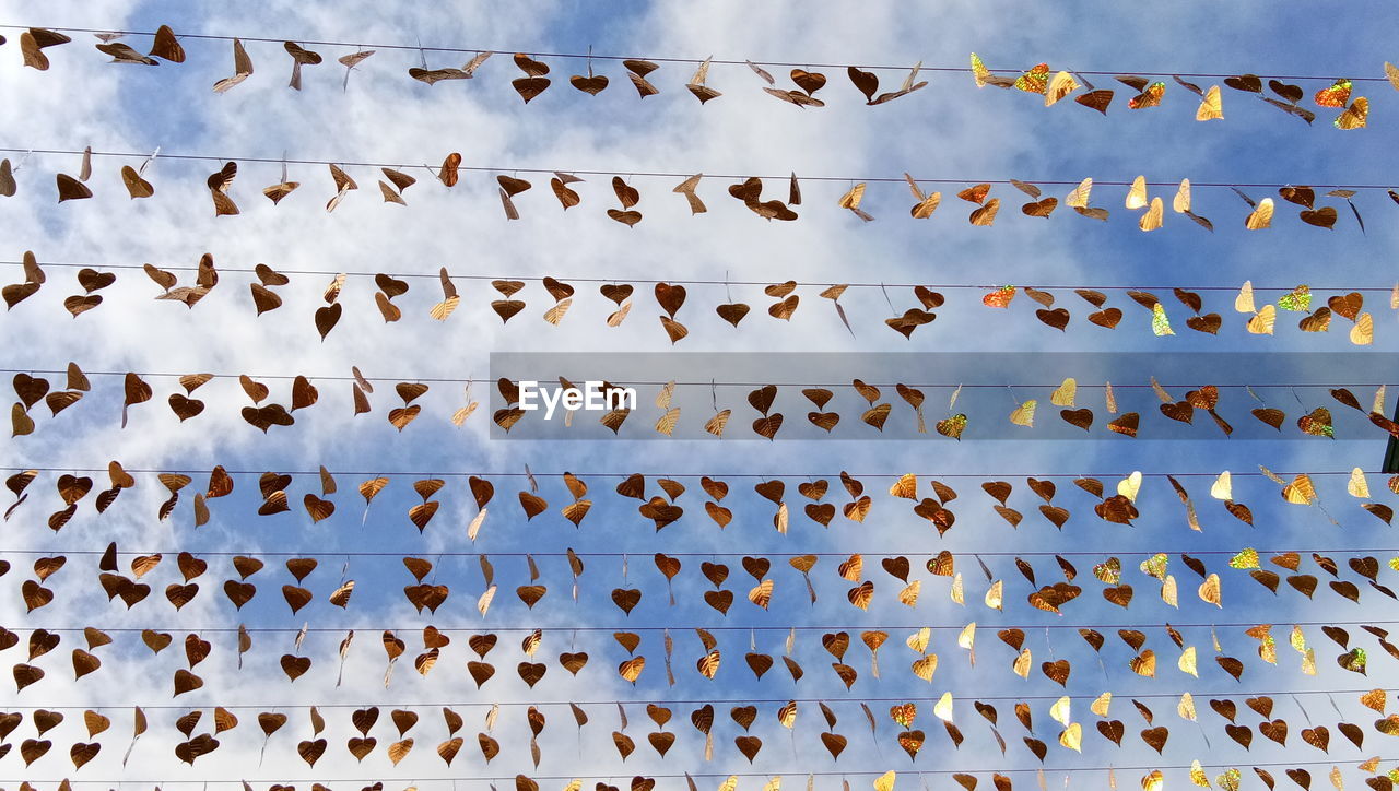 Full frame shot of patterned hanging