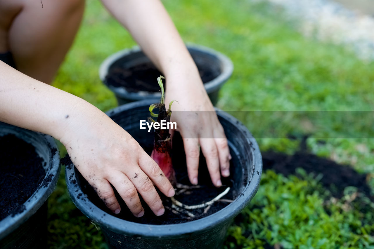 green, grass, one person, hand, plant, nature, gardening, lawn, adult, day, dirt, women, lifestyles, soil, outdoors, holding, limb, water, leisure activity, human limb, planting, summer, focus on foreground, close-up, growth, front or back yard, child, gardening equipment, shoe, bucket, garden, human leg