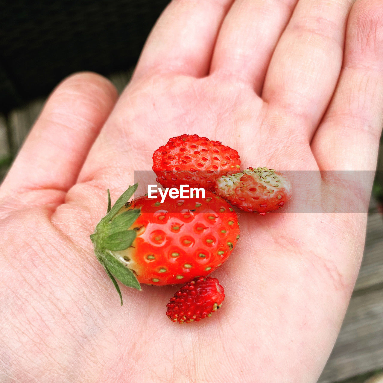 close-up of hand holding strawberry