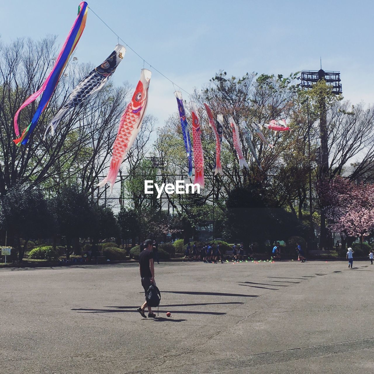 Low angle view of koinobori hanging against sky during sunny day