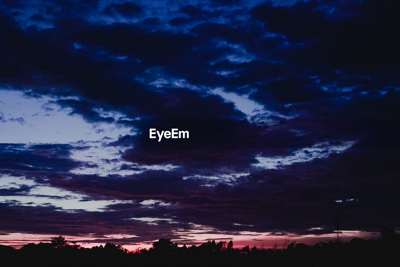 LOW ANGLE VIEW OF SILHOUETTE TREES AGAINST SKY AT SUNSET