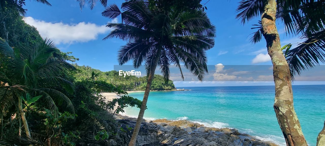 water, sea, tropical climate, tree, palm tree, sky, land, beauty in nature, scenics - nature, plant, beach, tropics, nature, tranquility, tranquil scene, vacation, ocean, body of water, travel destinations, coconut palm tree, idyllic, coast, cloud, travel, horizon over water, blue, island, tropical tree, horizon, trip, holiday, day, no people, outdoors, environment, tourism, bay, coastline, non-urban scene, shore, sunlight, landscape, lagoon, turquoise colored, seascape, growth, sand, leaf