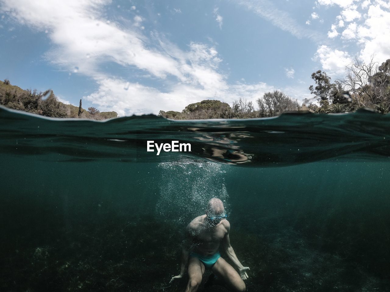 Rear view of woman swimming in sea