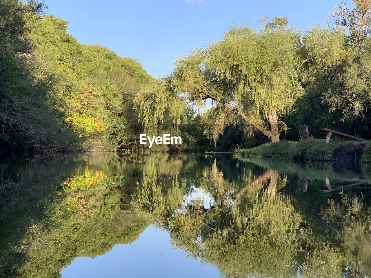 REFLECTION OF TREES ON LAKE AGAINST SKY